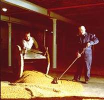From the Highland Park Distillery - floormalting ?...